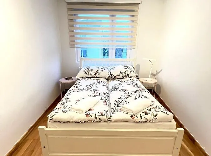 Apartment Spacious With Terrace