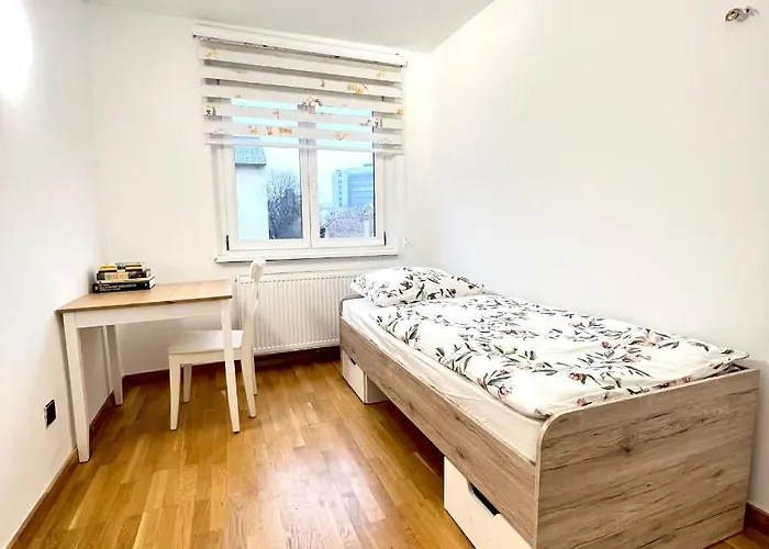 Spacious With Terrace Apartment